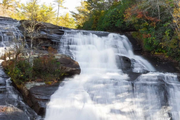 DuPont State Forest