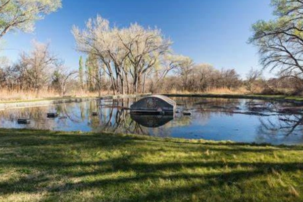 Rattlesnake Springs oasis