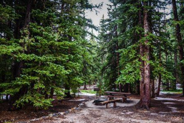 Camping at Wheeler Peak Campground