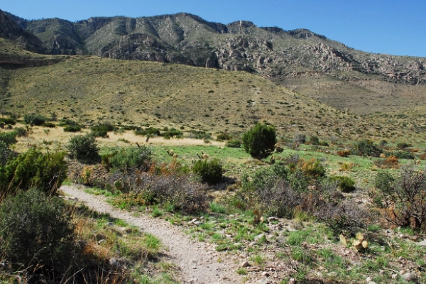 Guadalupe Peak Trail
