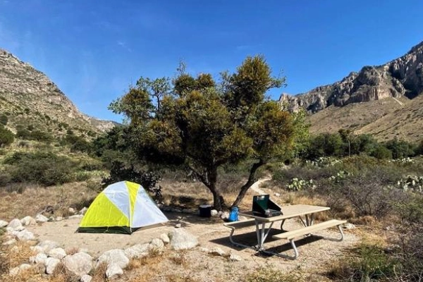 Pine Springs Campground Guadalupe Mountains