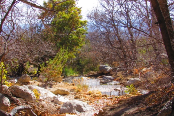 Smith Spring Trail oasis