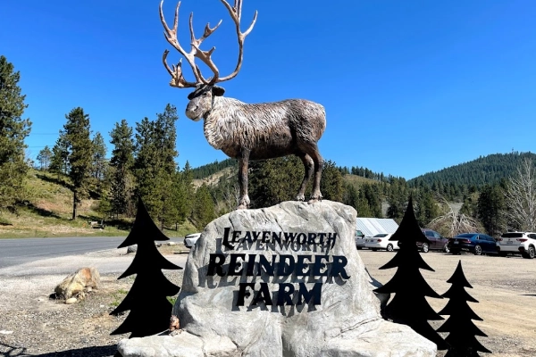 Leavenworth Reindeer Farm
