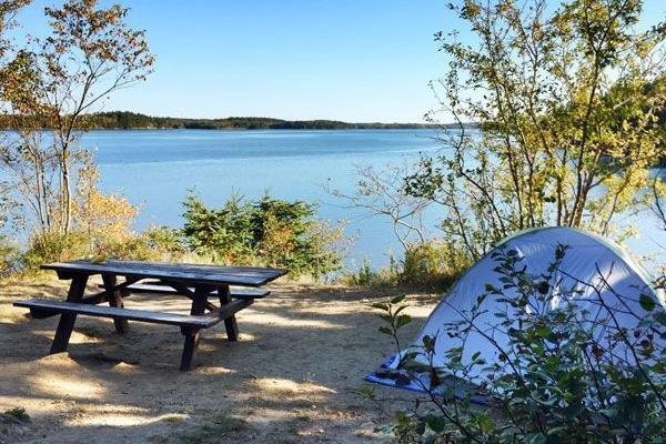 Camping at Cobscook Bay State Park near Lubec