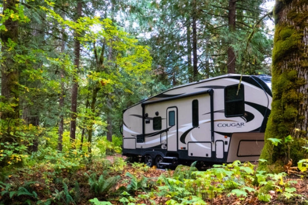 Goodell Creek Campground, North Cascades NP