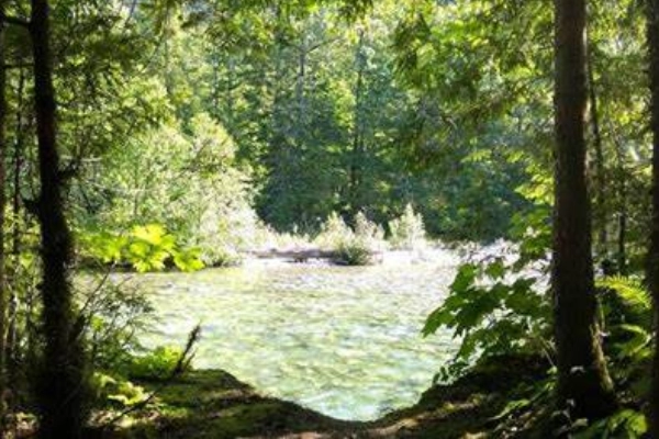 Goodell Creek Campground and picnic area
