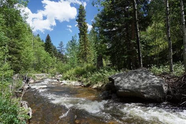 North Fork Trail