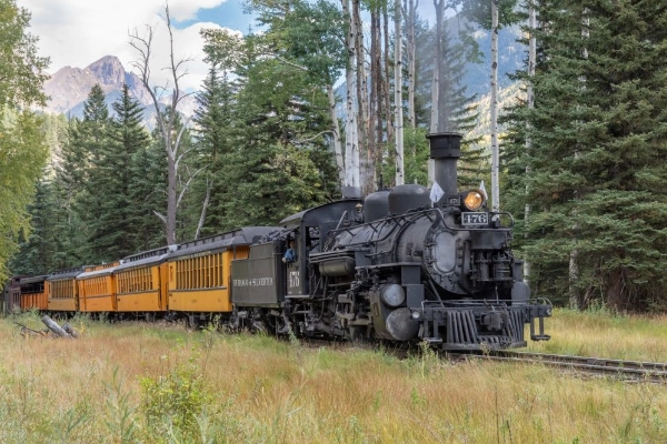 Durango & Silverton Narrow Gauge Railroad