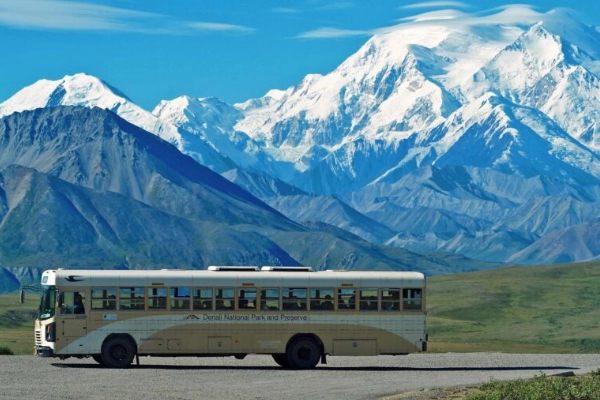 Denali National Park shuttle bus
