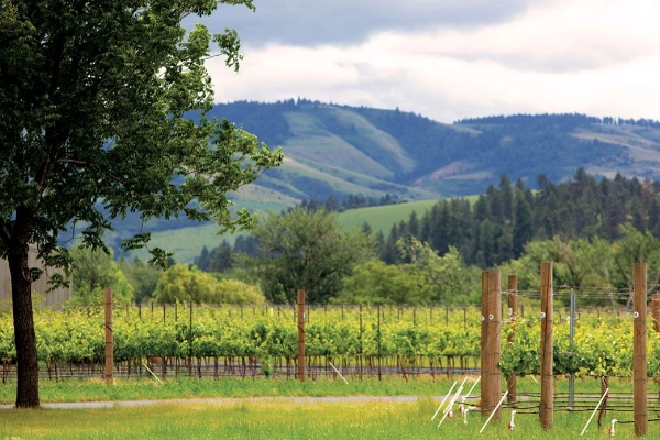 Walla Walla Wine Country