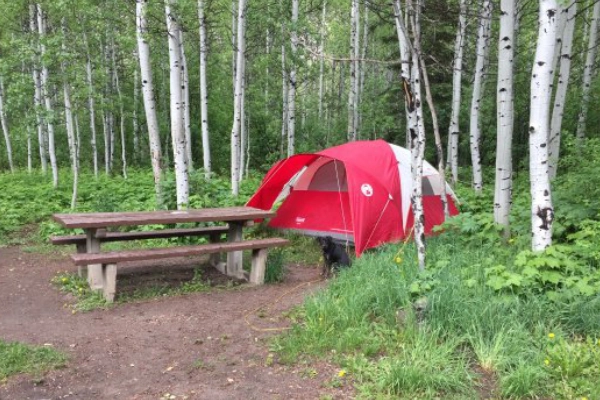 A campsite along the Roaring Fork River at Difficult Campground