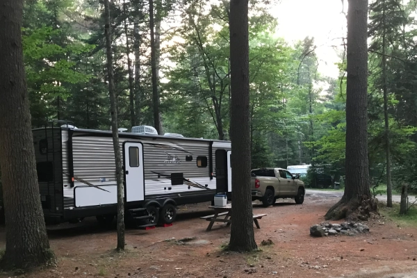 A wooded campsite at Atlantic City Blueberry Hill Campground