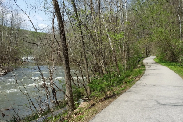 A campsite in the woods at Patapsco Valley State Park