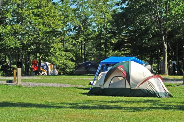 A campsite near the water at Darien Lake State Park