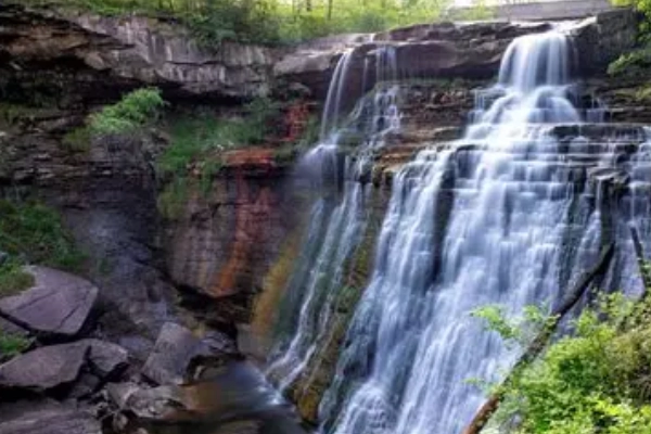A wooded campsite in Cuyahoga Valley National Park