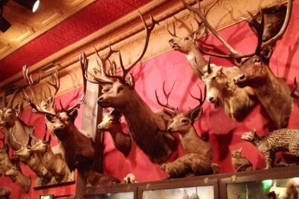 The taxidermy-filled interior of The Buckhorn Exchange restaurant