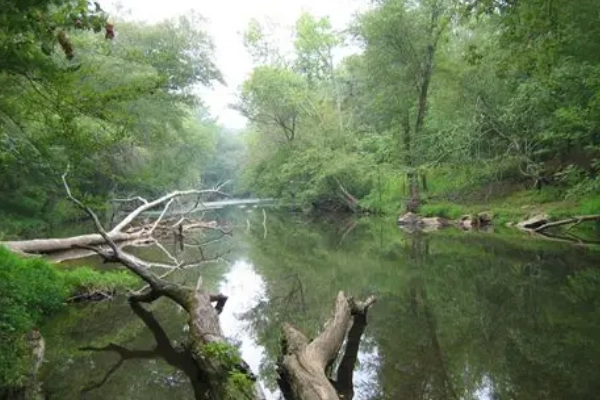 A campsite near the river at Eno River State Park