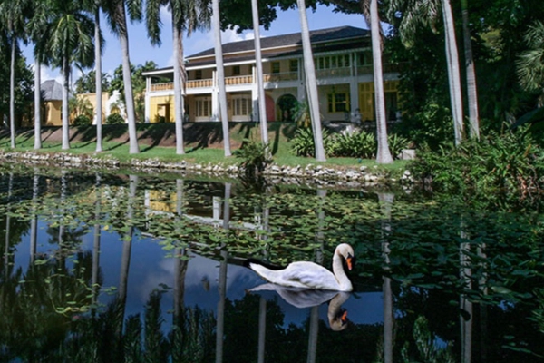 The quirky, colorful Bonnet House Museum & Gardens