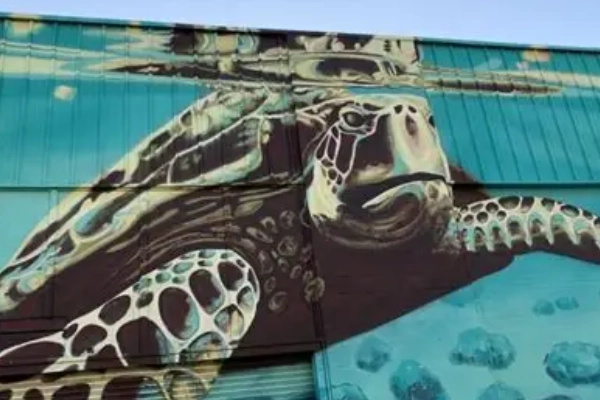 Vibrant street art in the Kaka'ako district