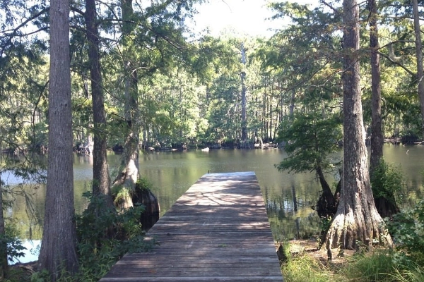 A wooded campsite at Lake Houston Wilderness Park