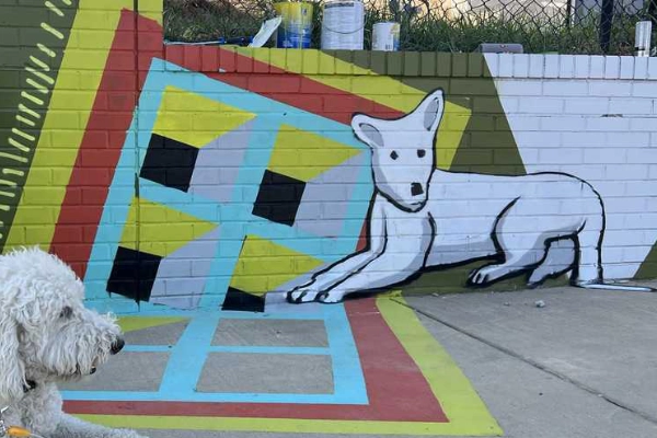 Colorful street art in Jackson's Fondren Arts District
