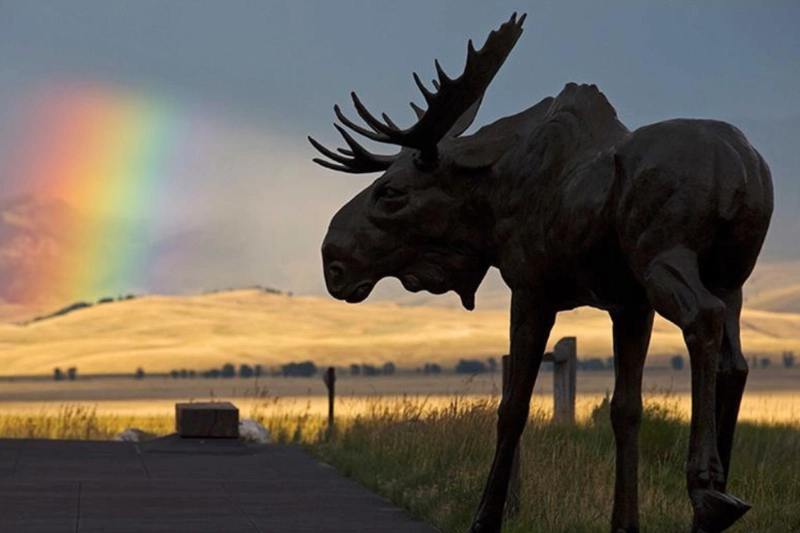 A scenic view of Jackson, Wyoming