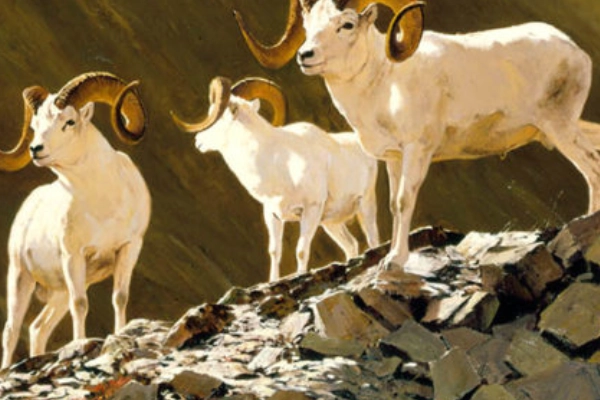 Animal sculptures at the National Museum of Wildlife Art