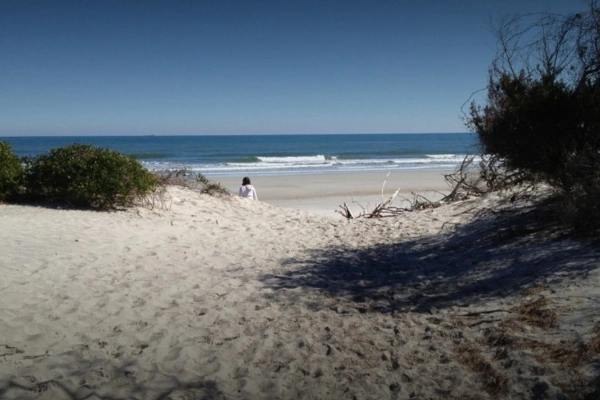 A campsite near the beach at Little Talbot Island State Park