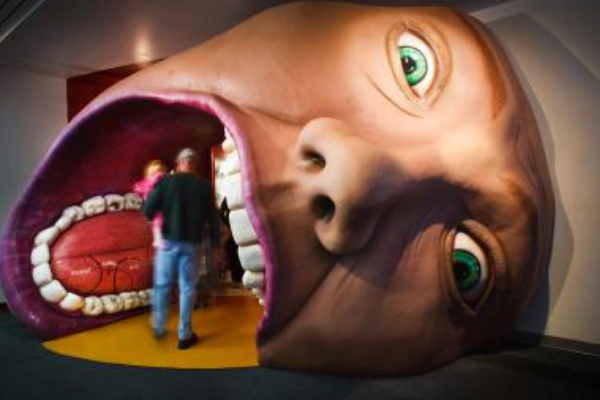 A dinosaur exhibit at the Museum of Science & History (MOSH)