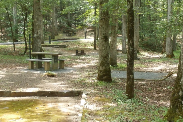 A campsite near the river at Otter Creek Outdoor Recreation Area