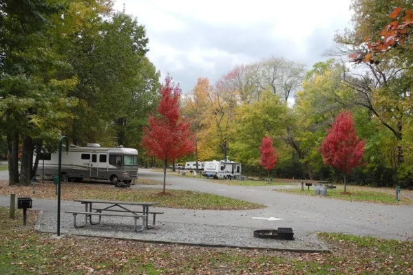 A wooded campsite at T.O. Fuller State Park