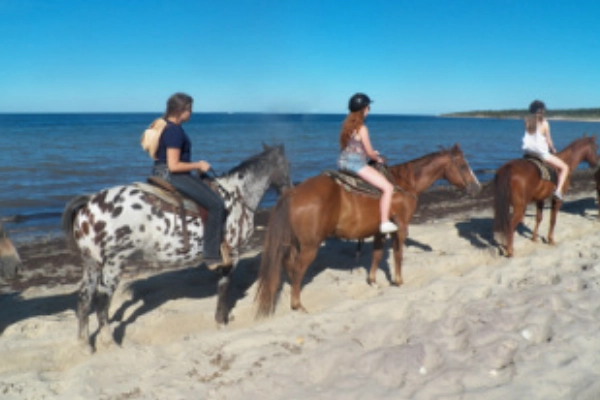 Horseback riding at Deep Hollow Ranch