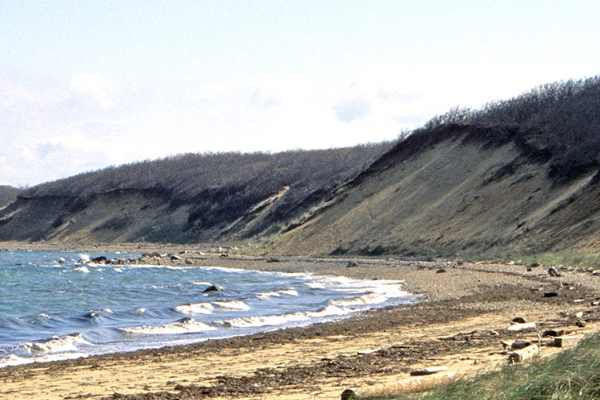 A WWII bunker ruin on a dune trail at Hither Hills State Park