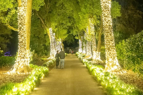 Lush gardens at Harry P. Leu Gardens