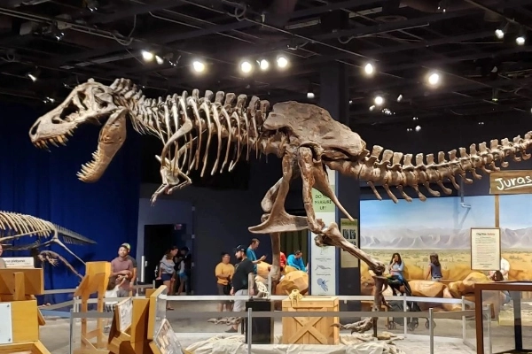 Exhibits at the Orlando Science Center