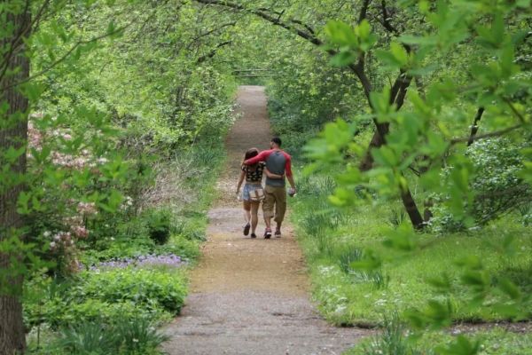 The historic botanical garden at Bartram's Garden