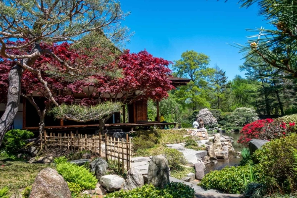 The serene Shofuso Japanese House and Garden in Fairmount Park
