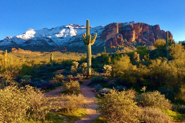 A campsite with a view of the mountains at Lost Dutchman State Park