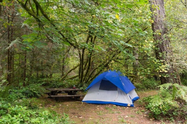 A campsite near the river at Oxbow Regional Park
