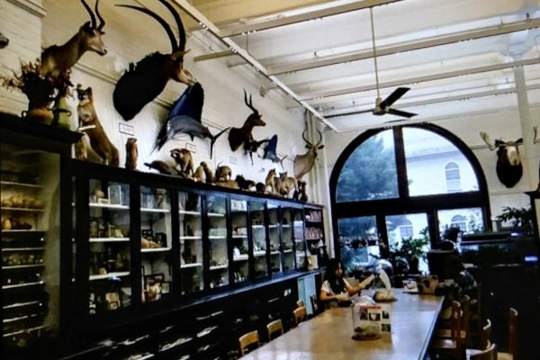 Quirky 1920s horror author relics at the H.P. Lovecraft House & Museum