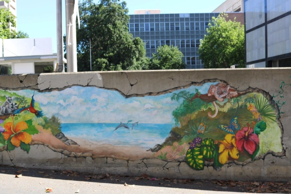Colorful street art in Sacramento's Midtown Arts District