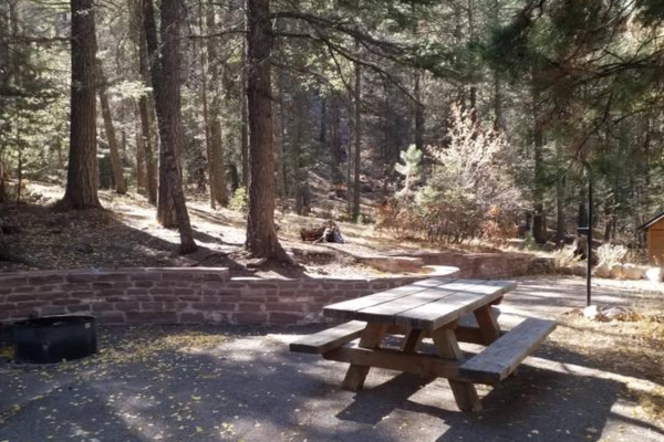 A wooded campsite at Black Canyon Campground near Hyde Park