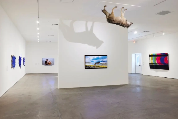 A contemporary art installation at SITE Santa Fe