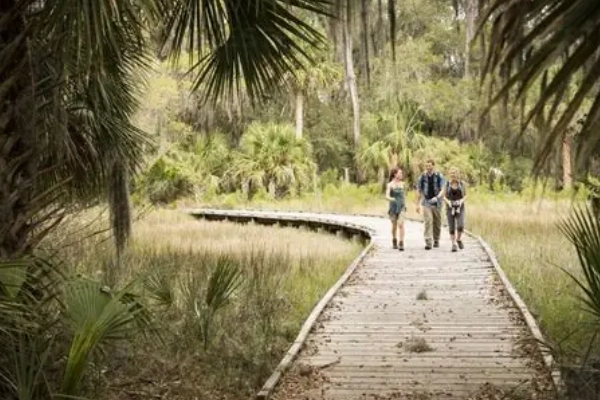 A campsite nestled in the marshes of Skidaway Island State Park