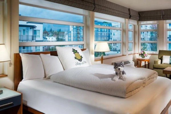 A modern, quirky room at a Staypineapple hotel