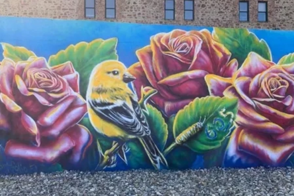 Colorful street art in Sioux Falls's Downtown Arts District