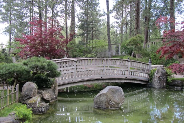 The Japanese Garden at Manito Park