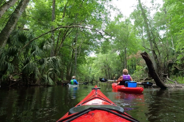 A campsite along the river at Hillsborough River State Park