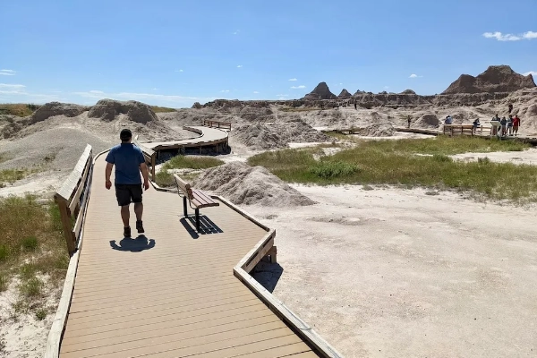 A quirky 75-million-year-old turtle fossil on the Fossil Exhibit Trail