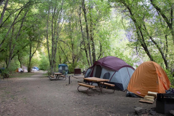 A campsite with a view of the canyon at South Rim Campground